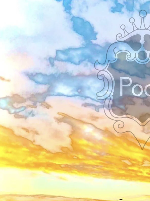 NFT POOL 21.007.jpeg