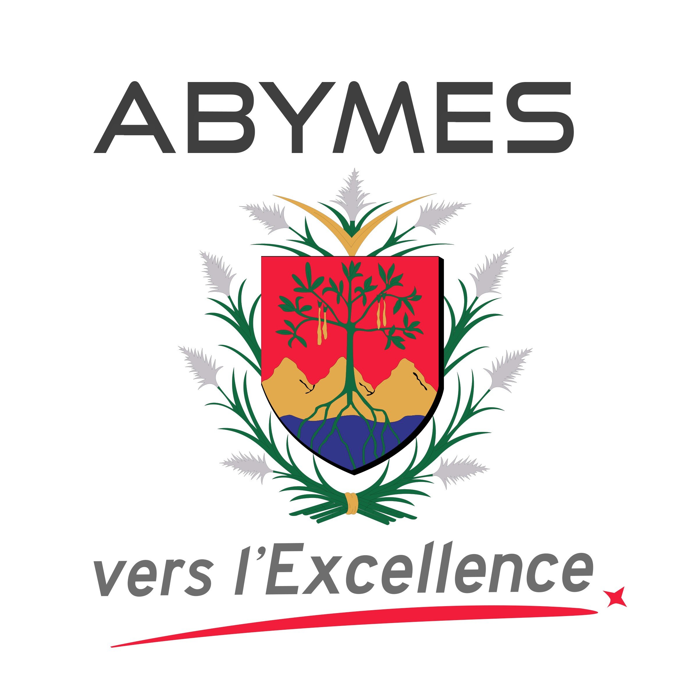 Logo Abymes - Vers l'excellence.jpg