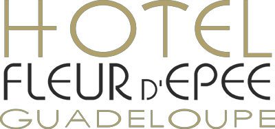 logo_fleur-epee_guadeloupe_.png