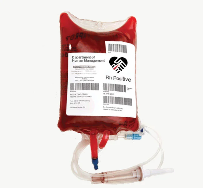 Department of Human Management