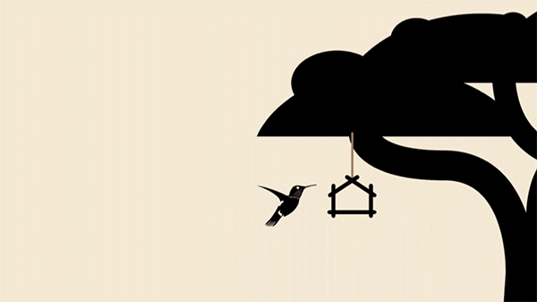 Site UX - mimicking the motion of bird watching