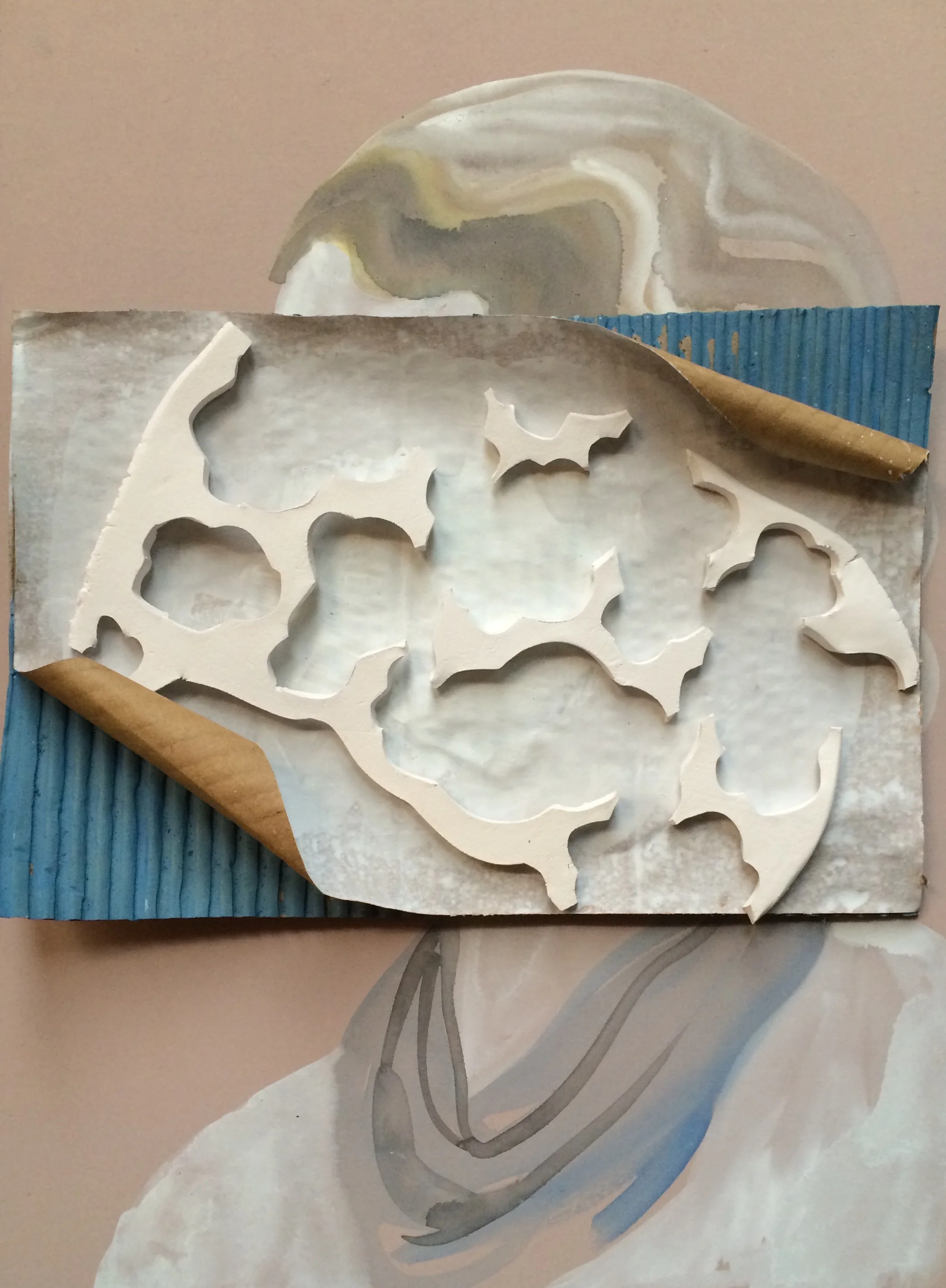 'Cloudia' 2016