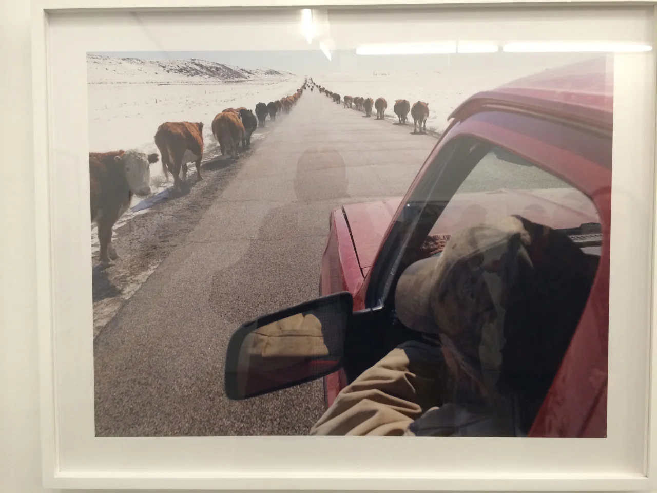 Lucas Foglia
Frontcountry
Fredericks &amp; Freiser Gallery
Culled from over 60,000 images taken over 7 years with a medium format digital camera, Lucas has captured some very unique images of the west. Beautifully presented.
fredericksfreisergallery…