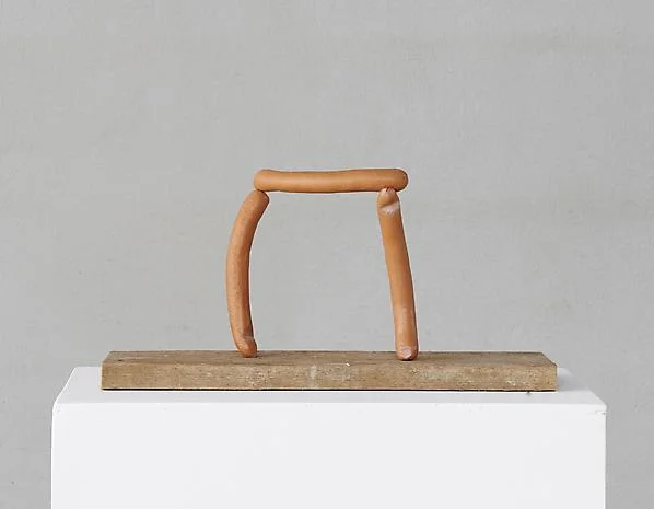 Erwin Wurm
Synthesa
Opportunity to meet the artist in person: Friday February 28th 6-8pm. Not to be missed, love his sense of humor!
http://www.lehmannmaupin.com