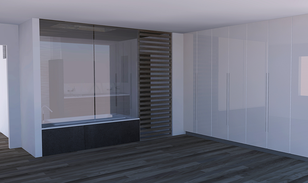 Rendering showing partition privacy glass and custom door