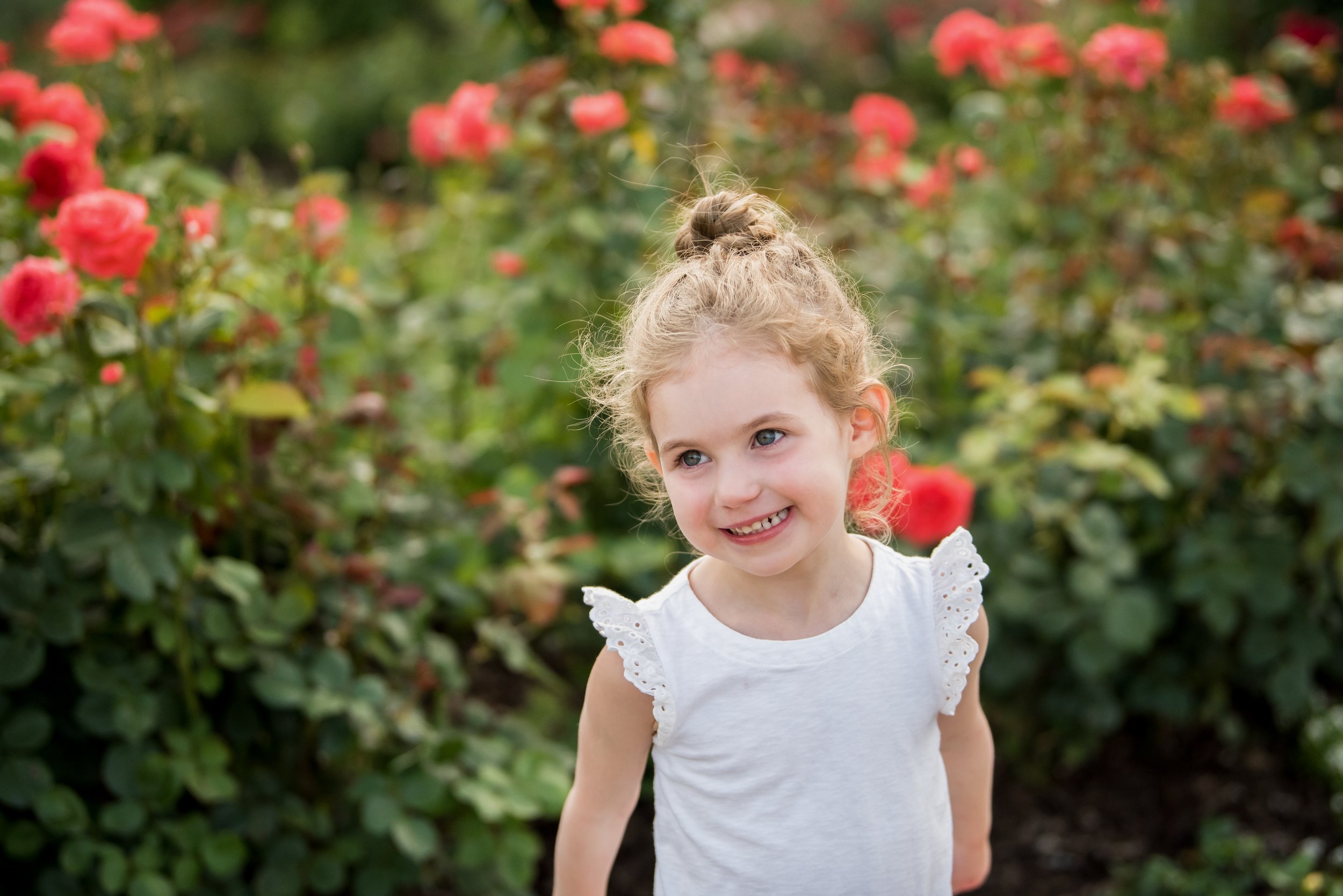 Lyndale Rose Garden-102.jpg