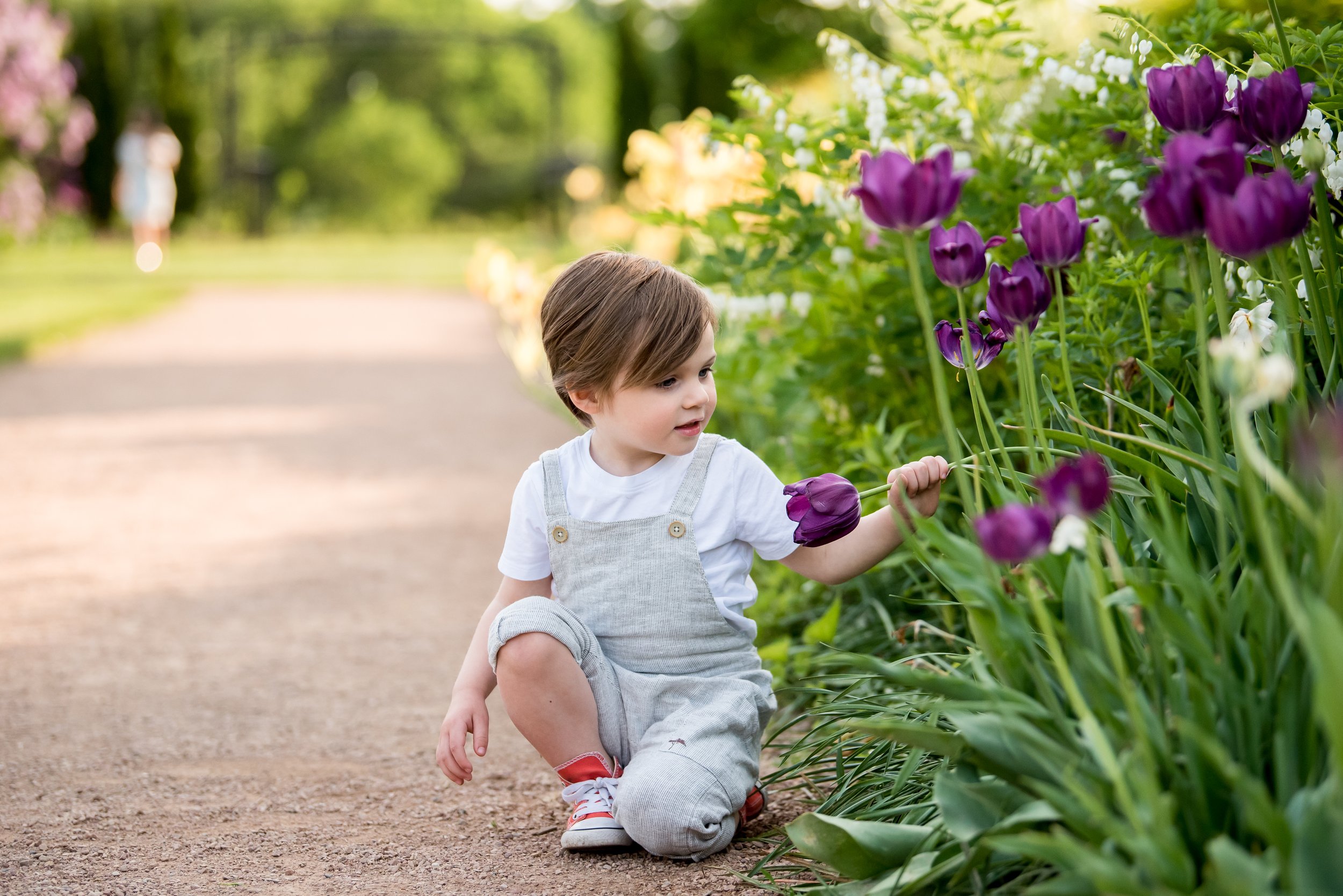 Lyndale Rose Garden-202.jpg