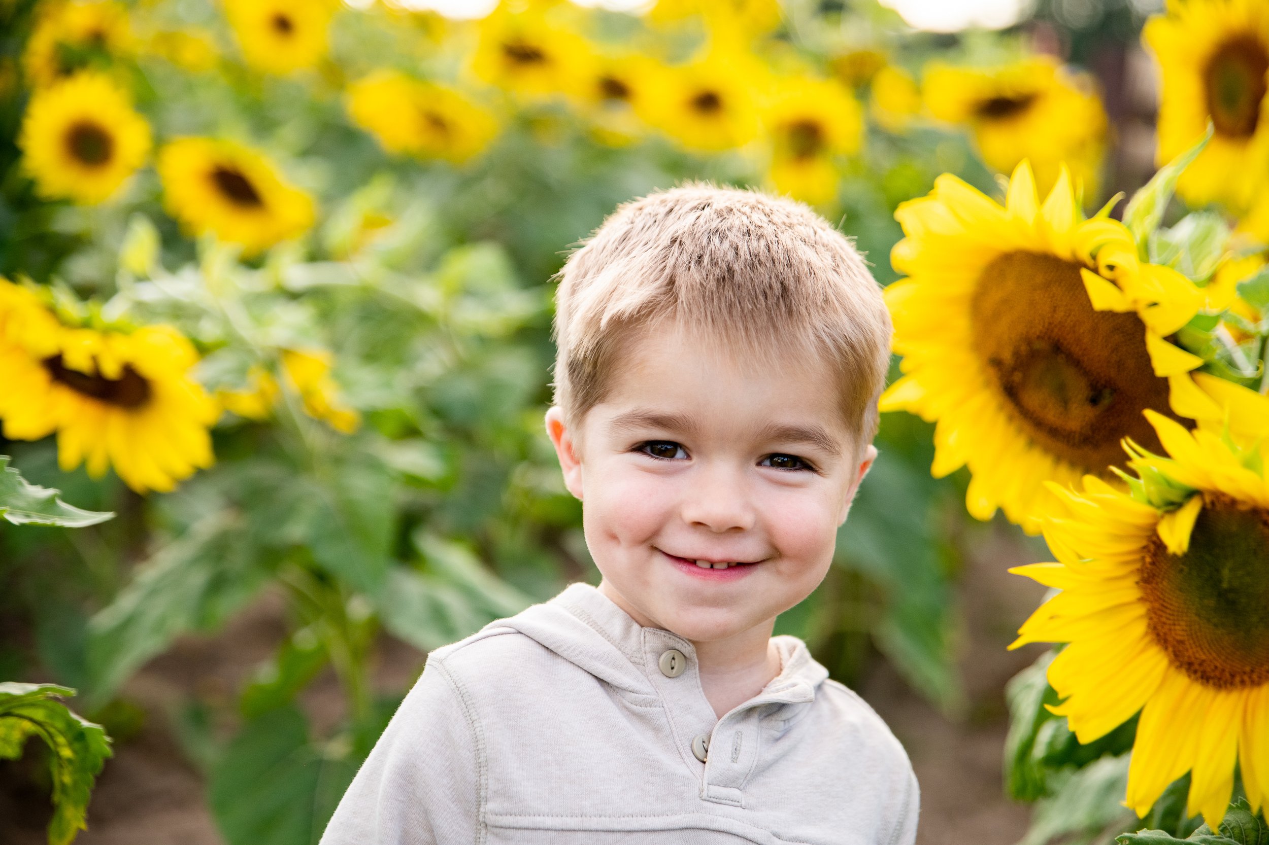 Anoka Sunflower Field-1.jpg