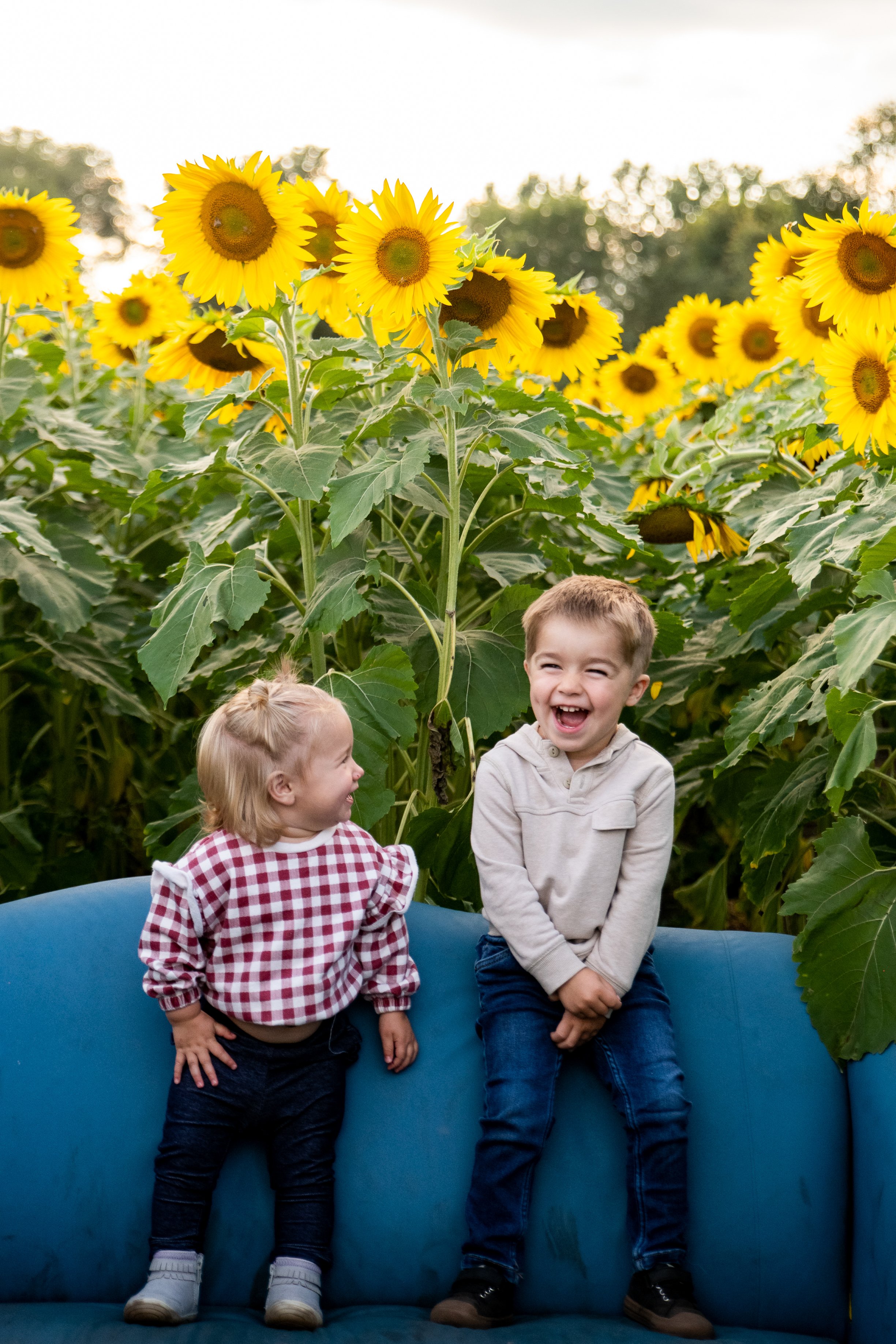 Anoka Sunflower Field-4.jpg