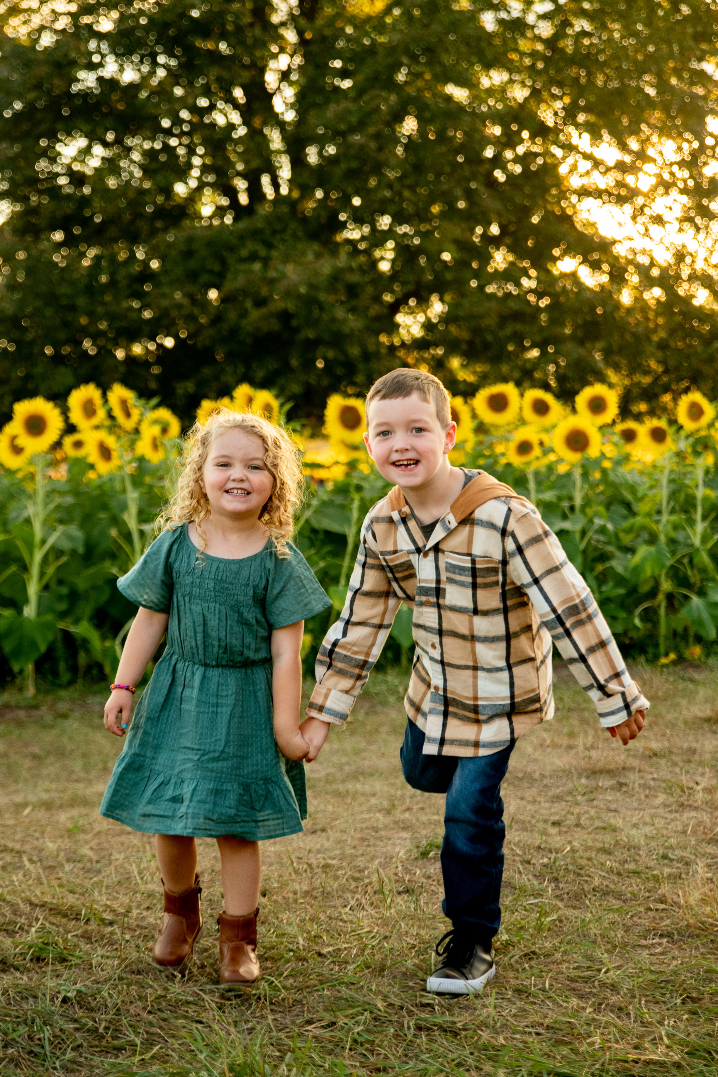 Anoka Sunflower Field-8.jpg