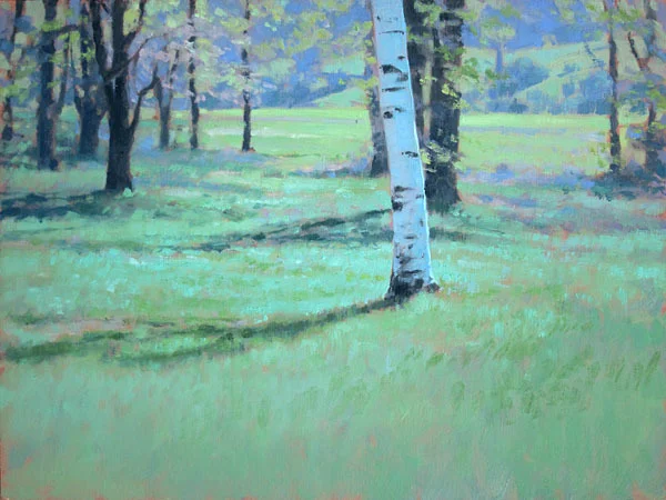 birchtree.jpg