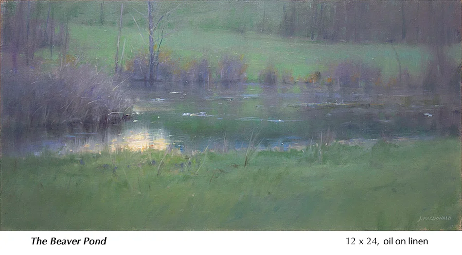 The-Beaver-Pond.jpg