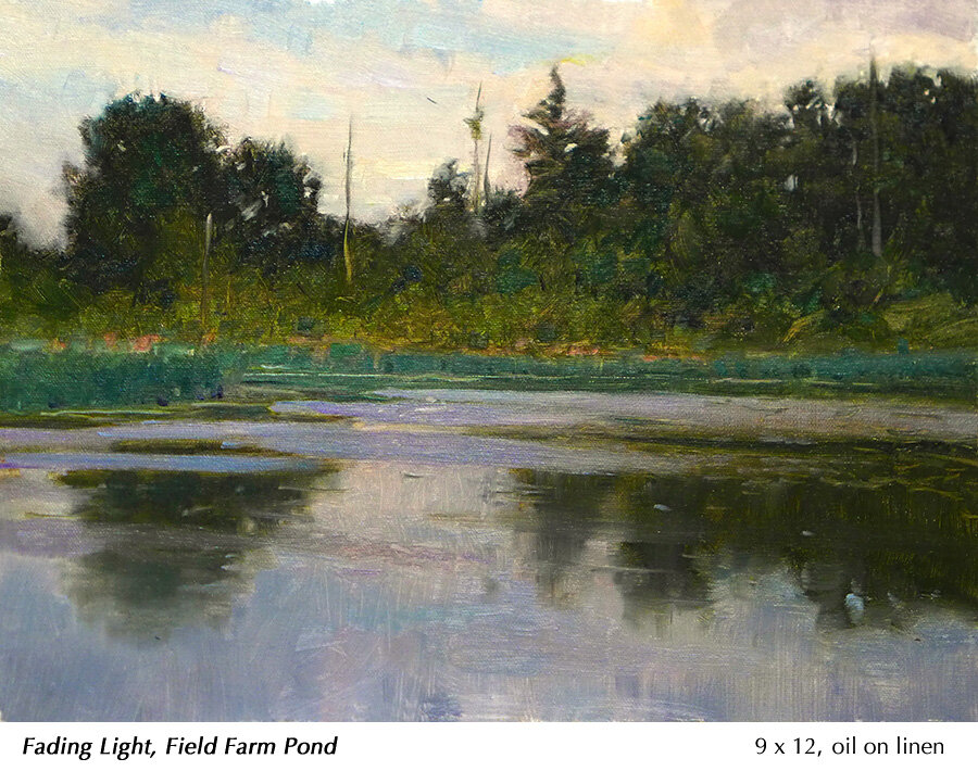 Field Farm Pond 3b.jpg