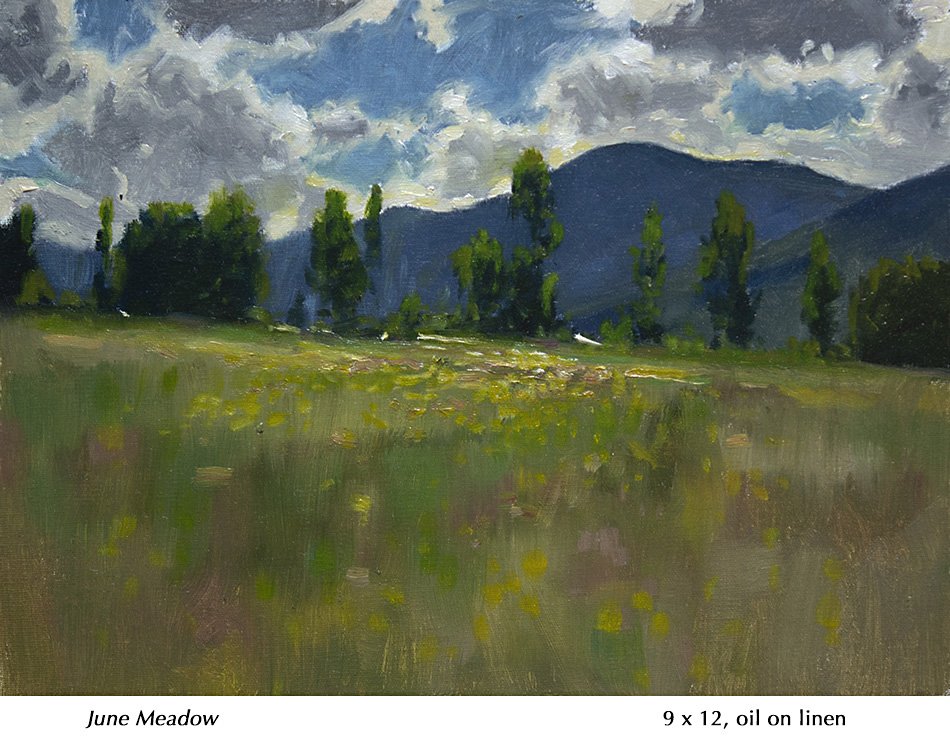 June meadow.jpg