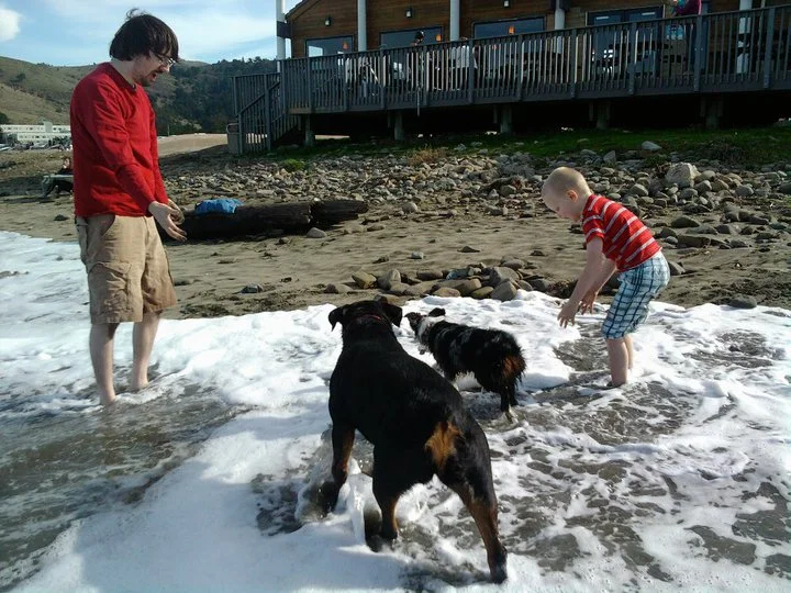 Beaches are a great place to play, meet new dogs and people, and experience new things.