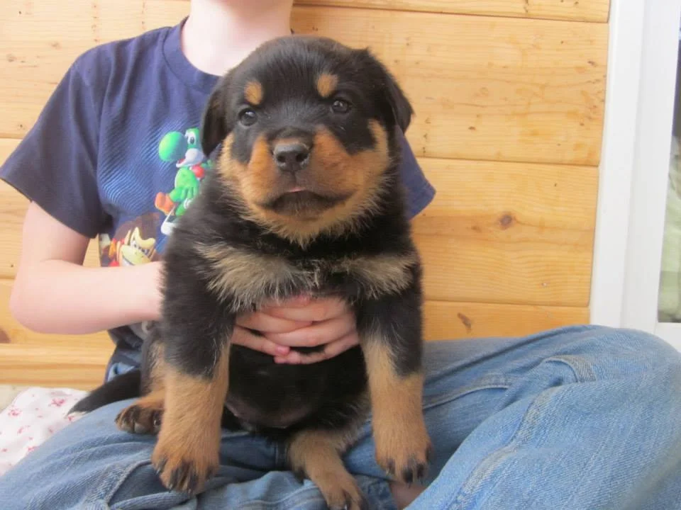 7 weeks.