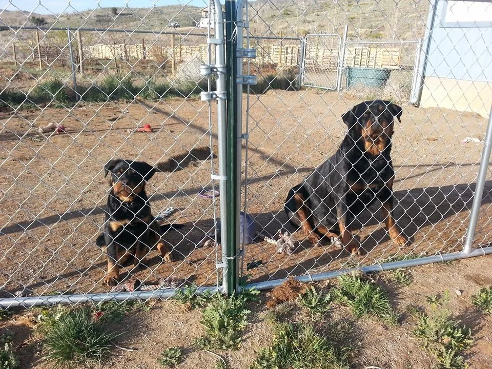 Fiona and Mercedes