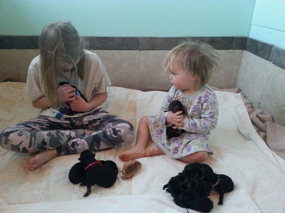 My girls with Mercedes X Indio puppies.