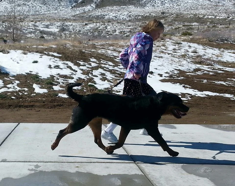 My daughter working with Fiona on the move at 14 months.