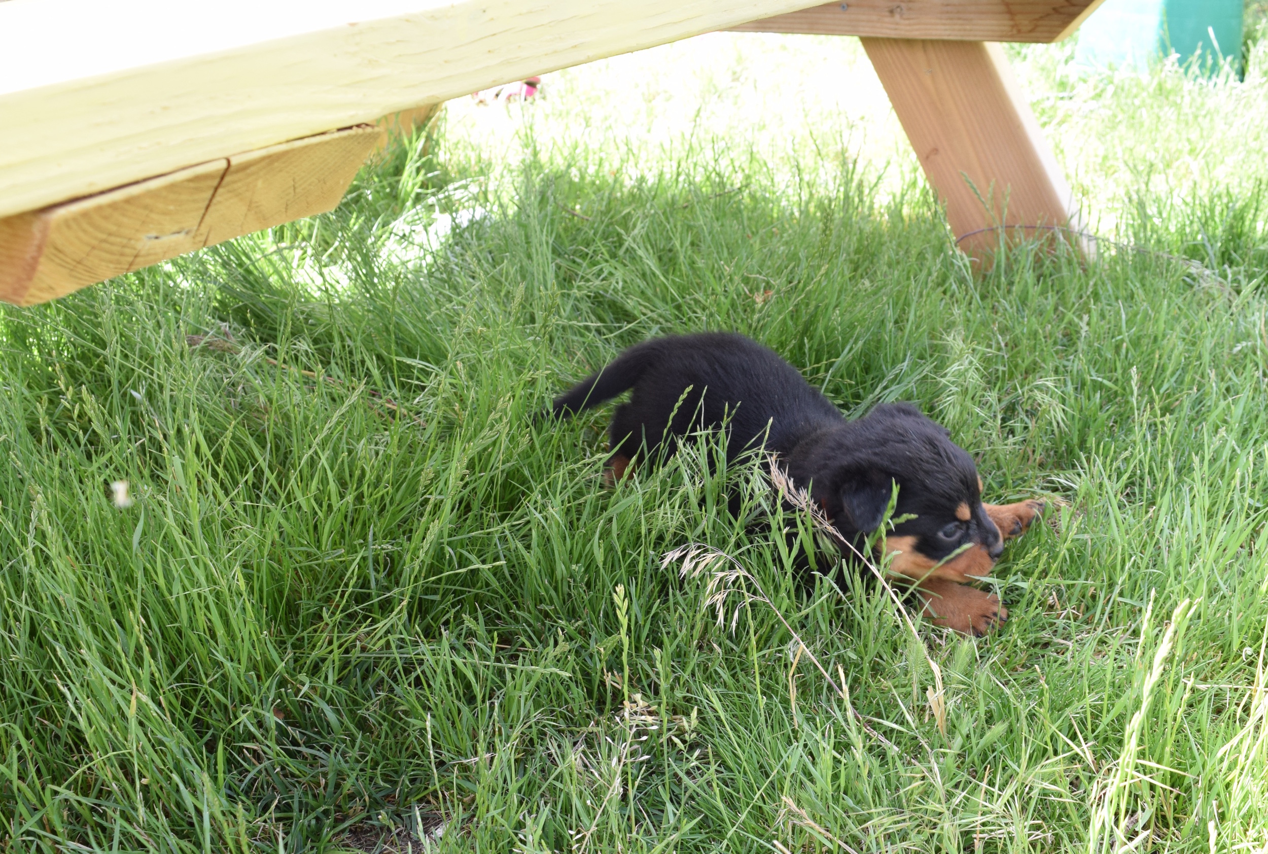 DSC_0154.jpg