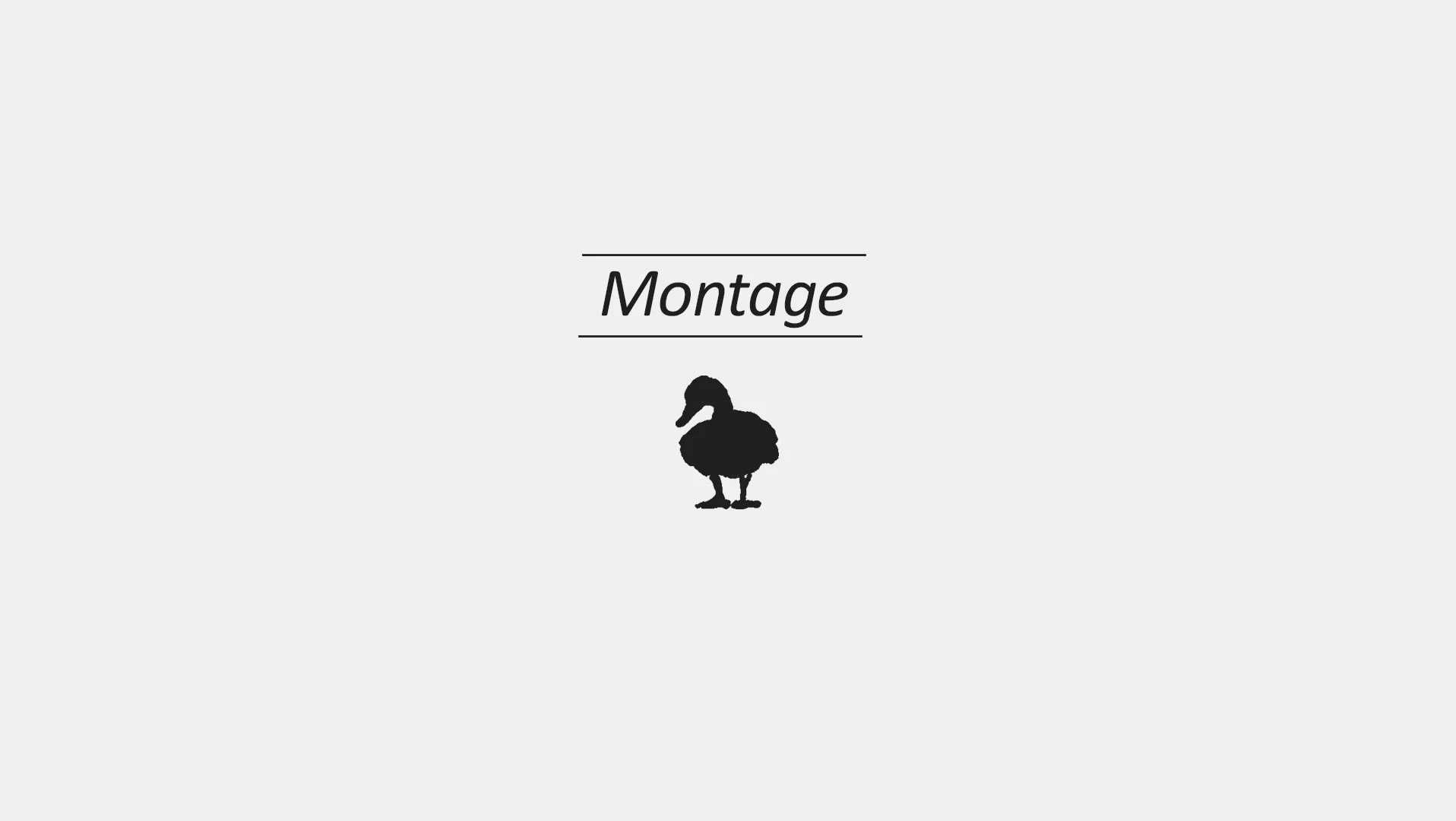 Montage Reel Thumb 2019.jpg