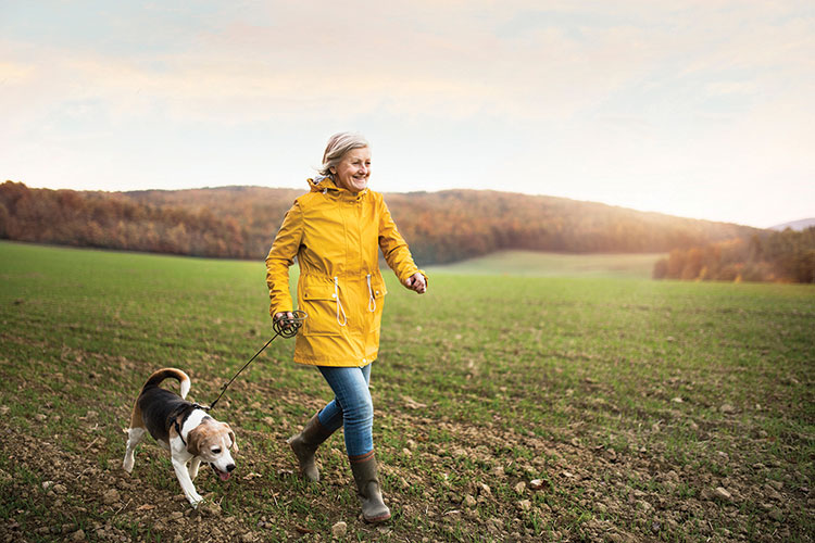 MPC-Dog-Walk-iStock-877023506.jpg