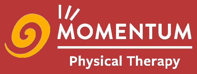 Momentum PT Website Designer