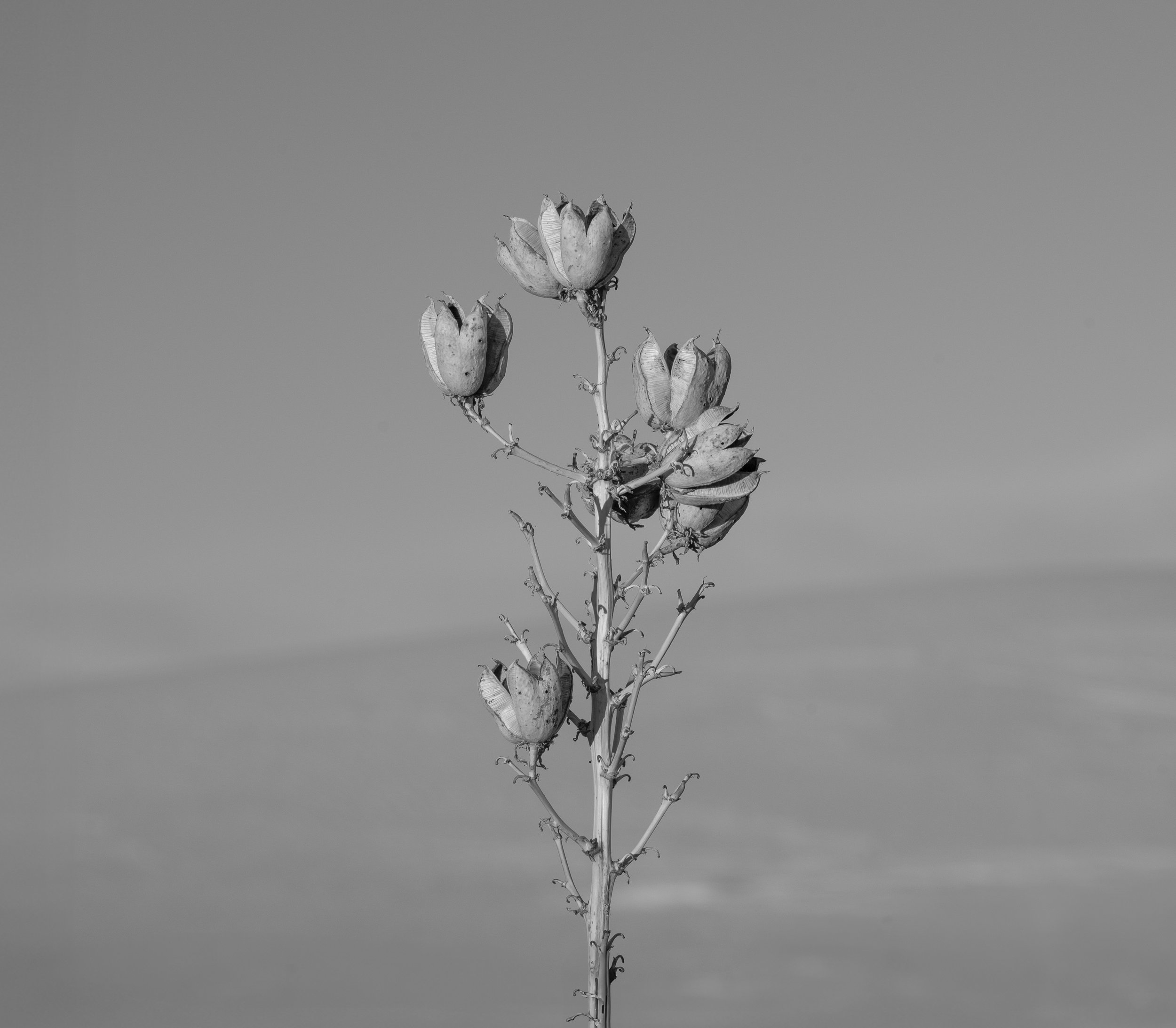 _EWH9874-Edit-Edit.jpg