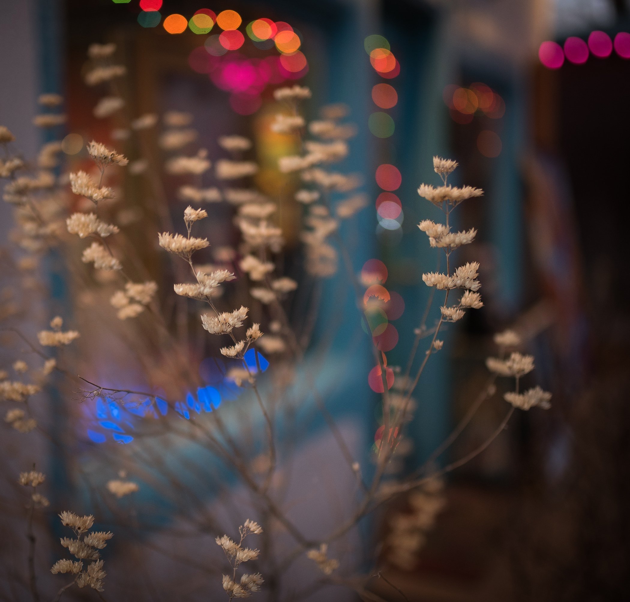 _EWH8282-Edit+%281%29.jpg