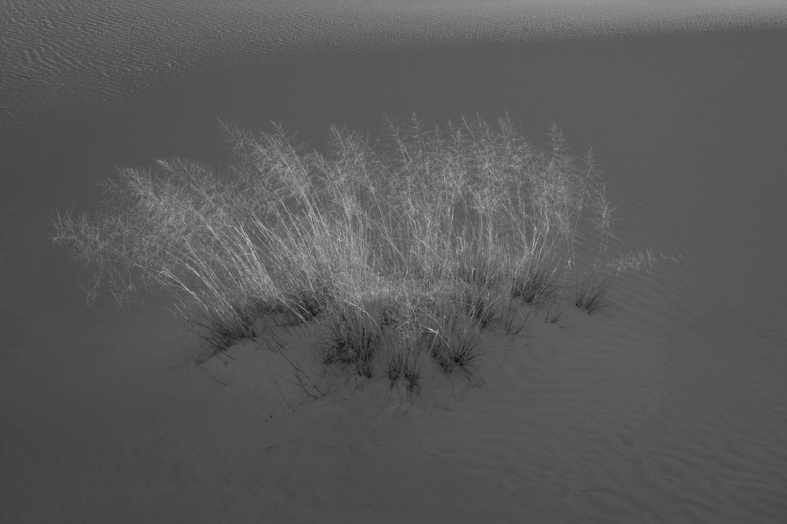 EWH_6735-Edit-Edit-Edit.jpg