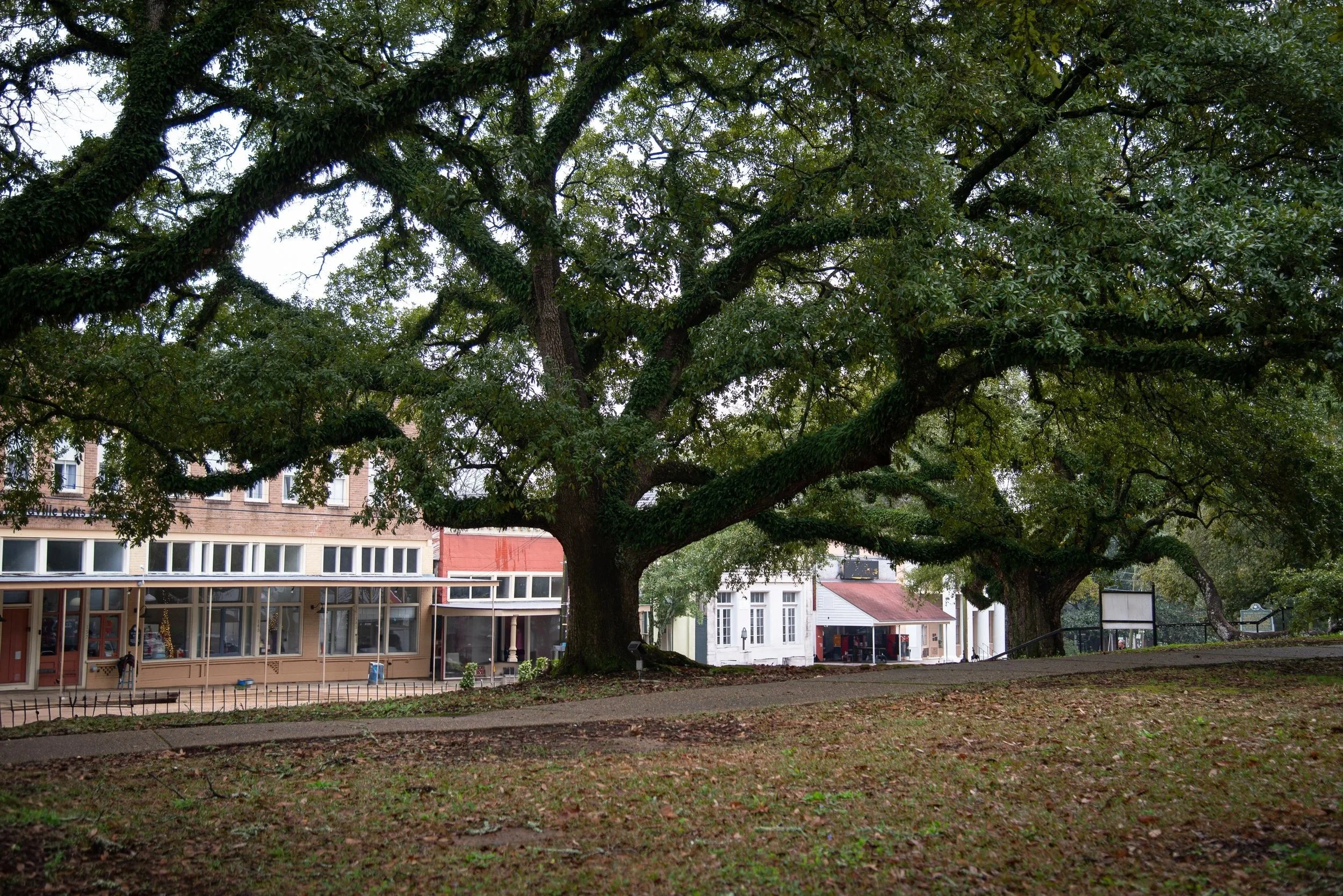 EWH_8841.jpg