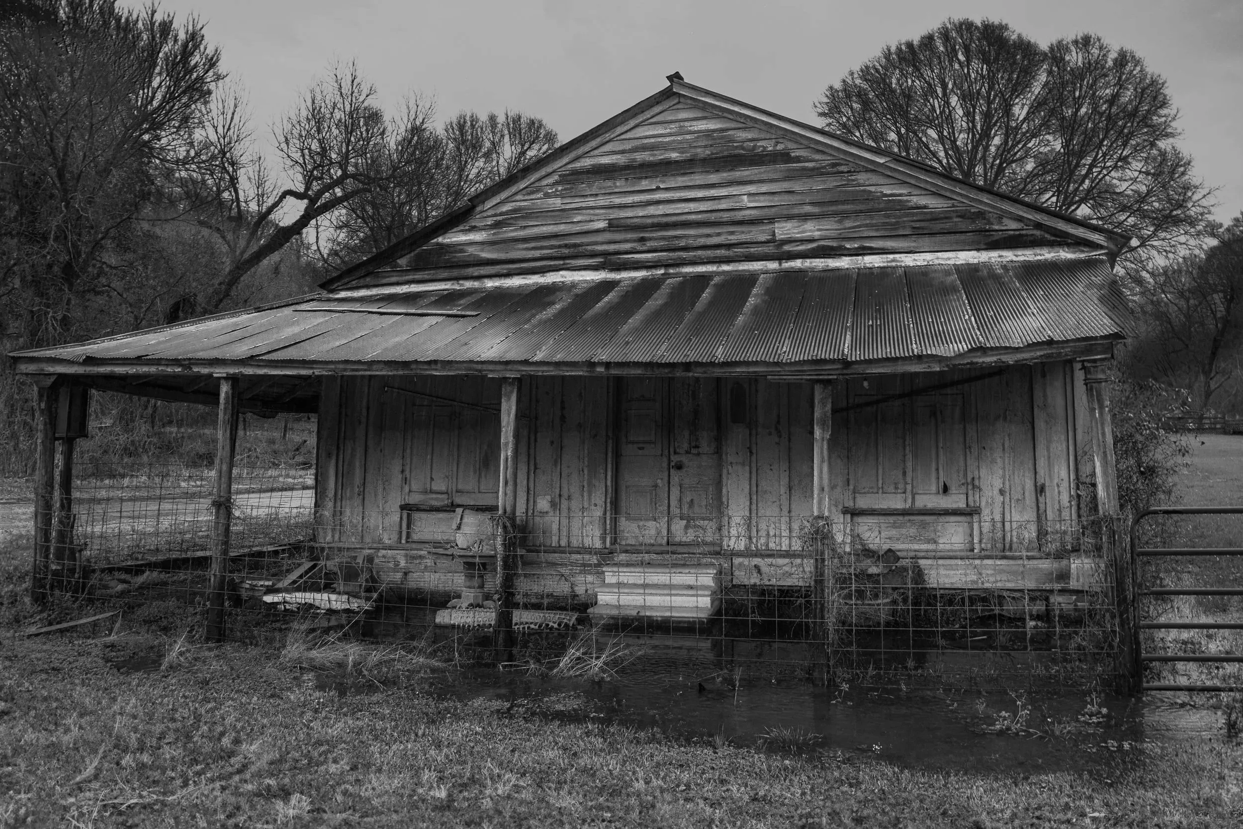 EWH_8846-Edit-Edit.jpg