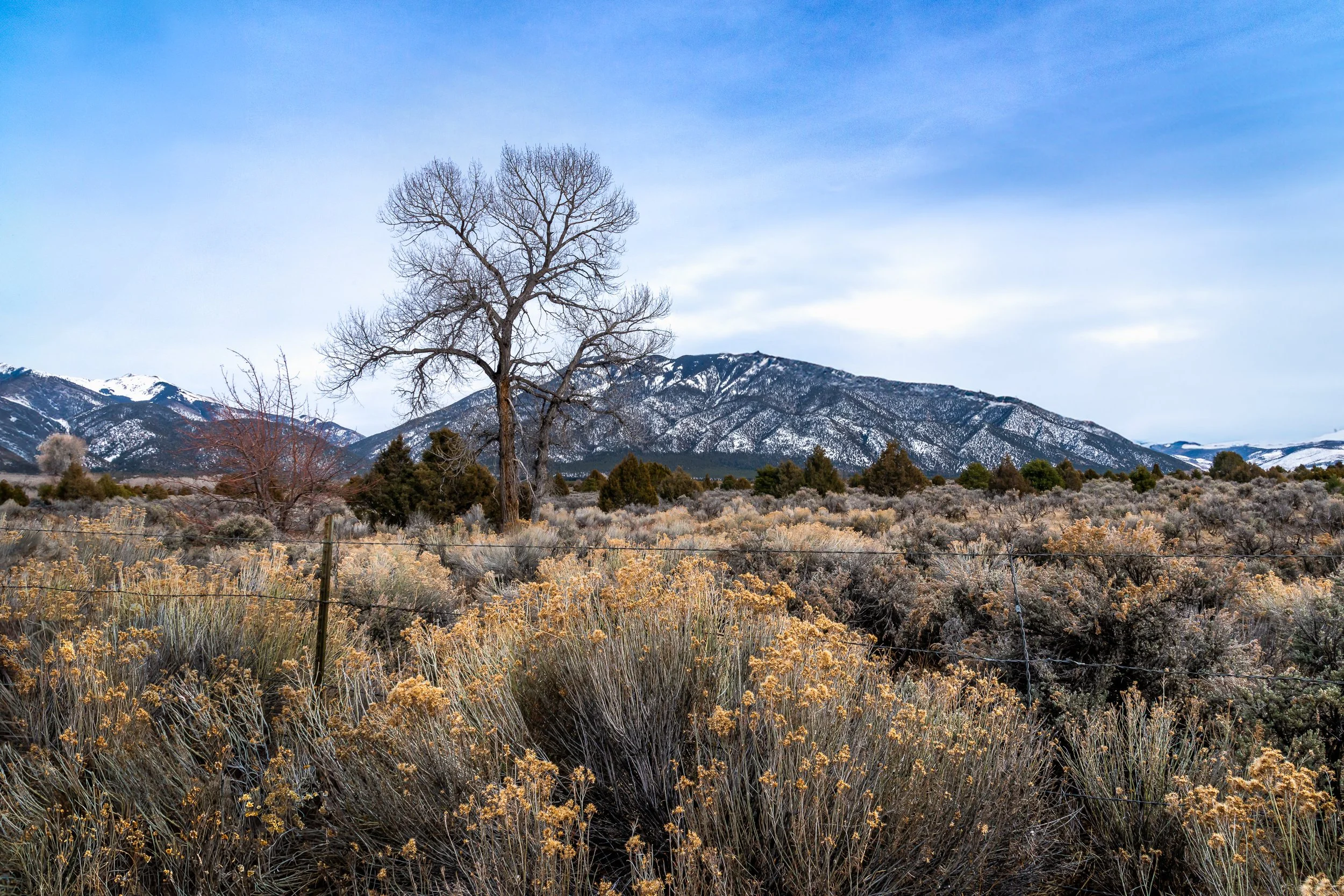 EWH_5717-Edit.jpg