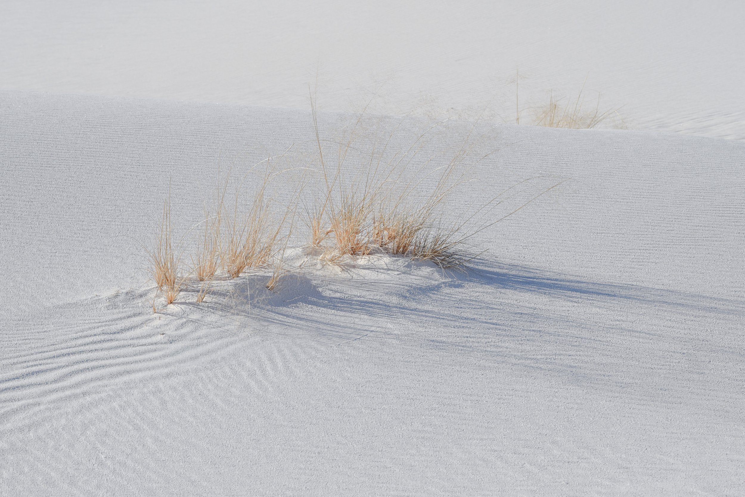 DSC_0570-Edit.jpg