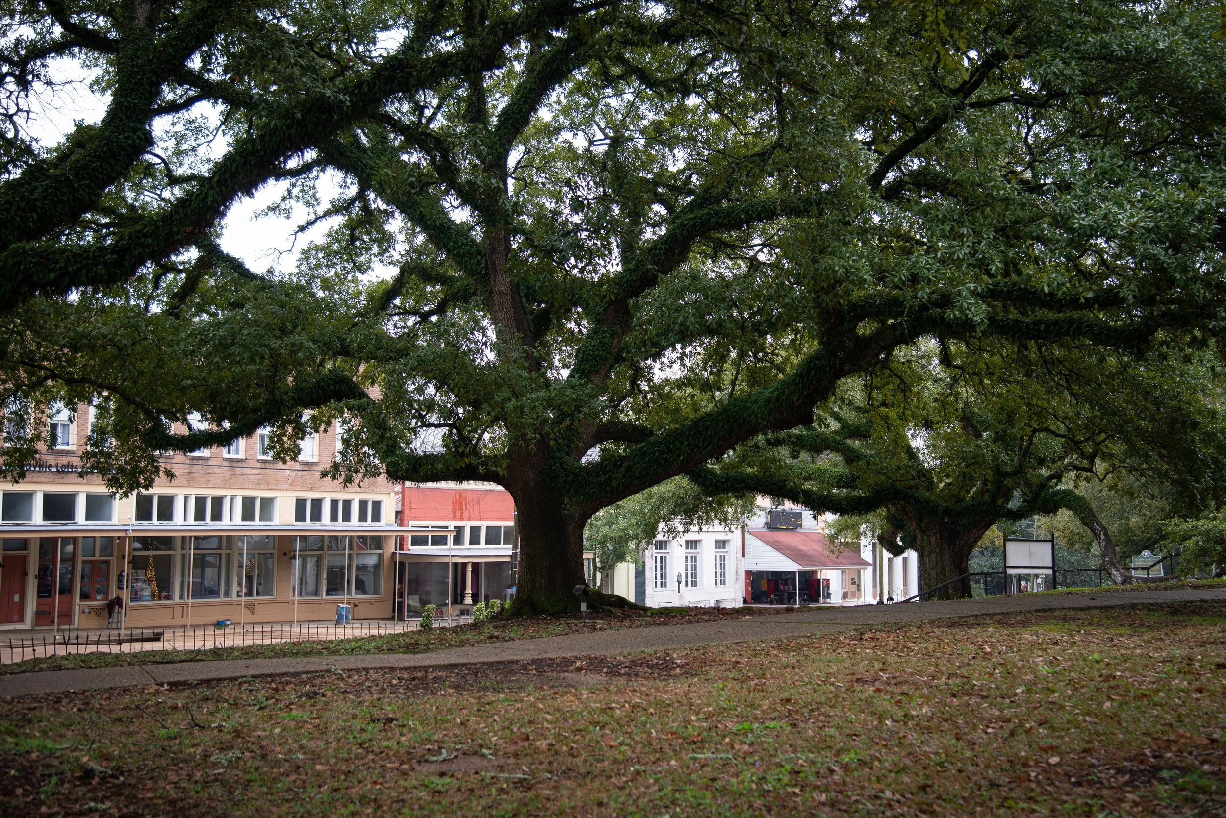 EWH_8841.jpg
