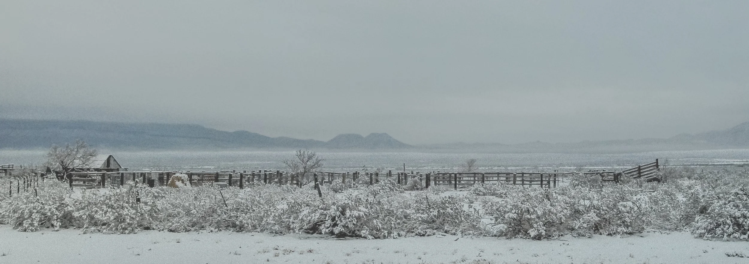DSC_0159.jpg