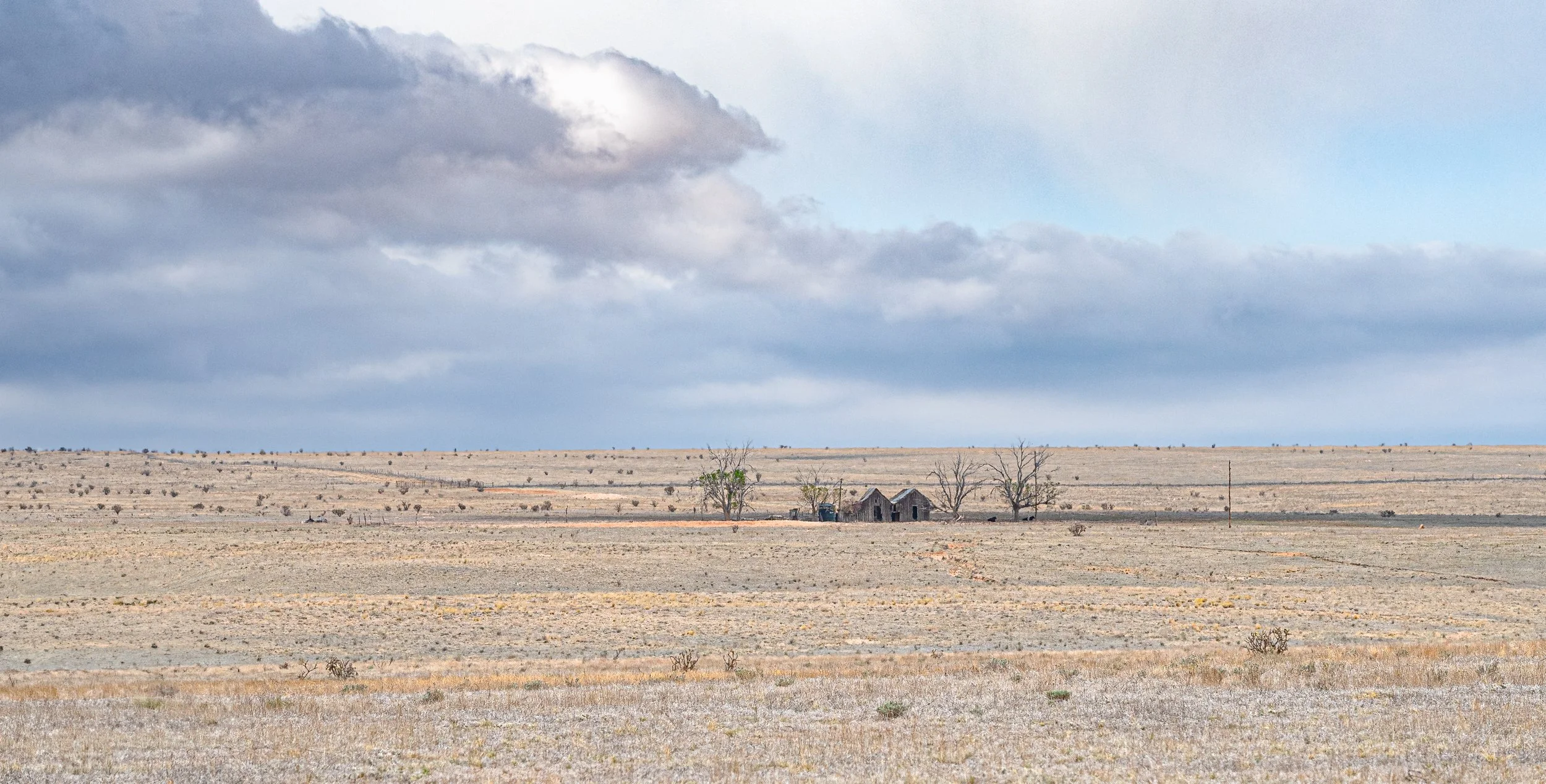 DSC_0830-Edit-2.jpg