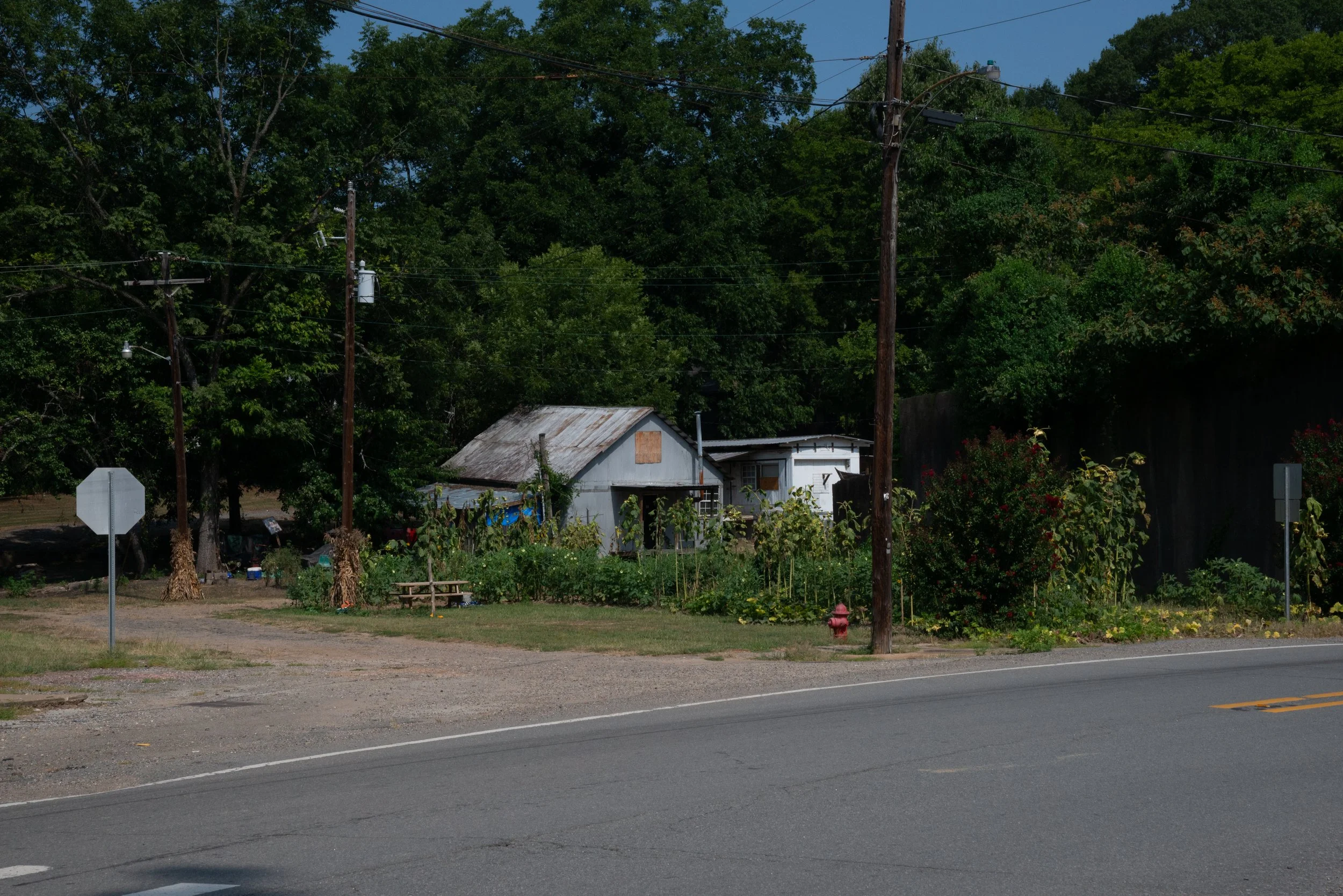 EWH_0605.jpg
