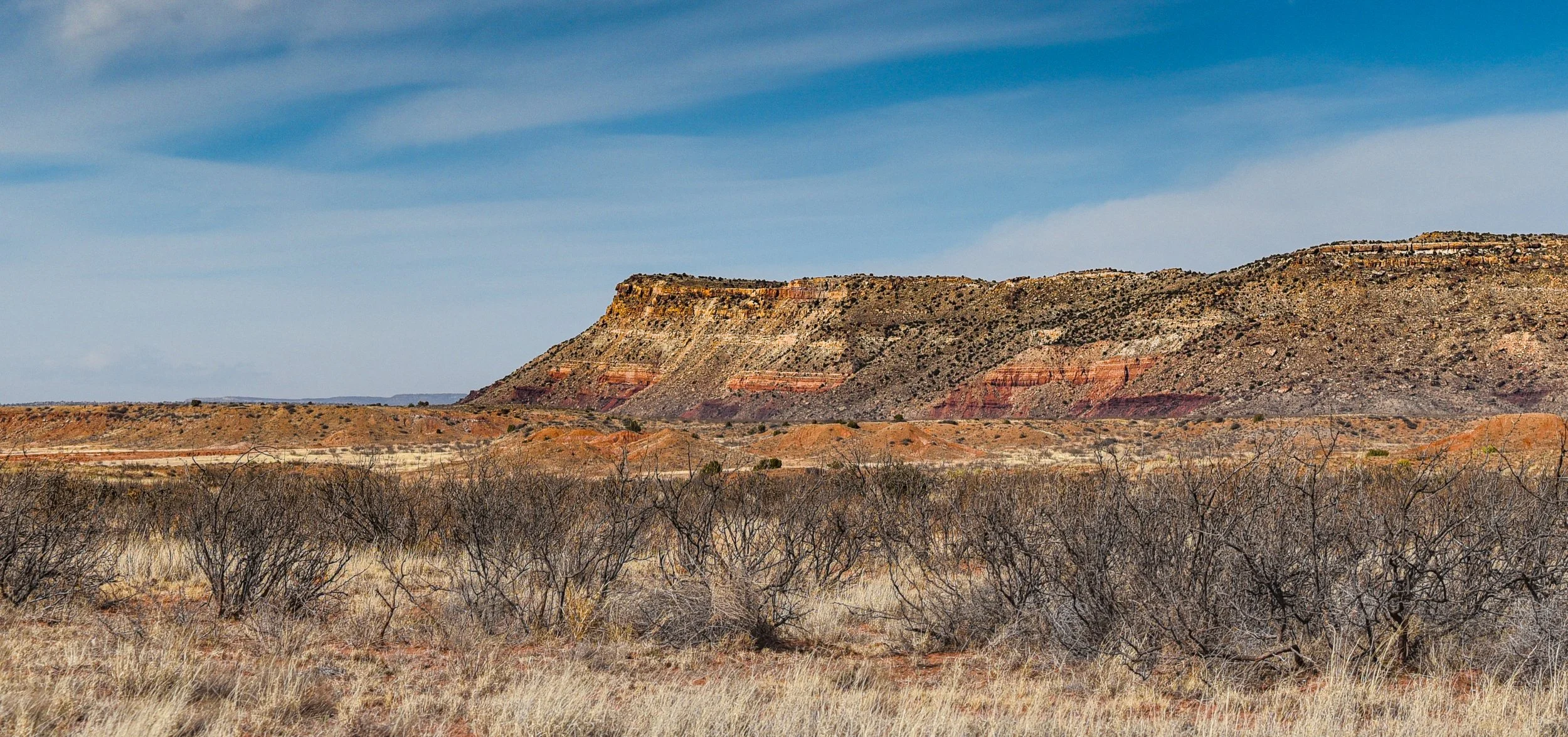DSC_0167.jpg