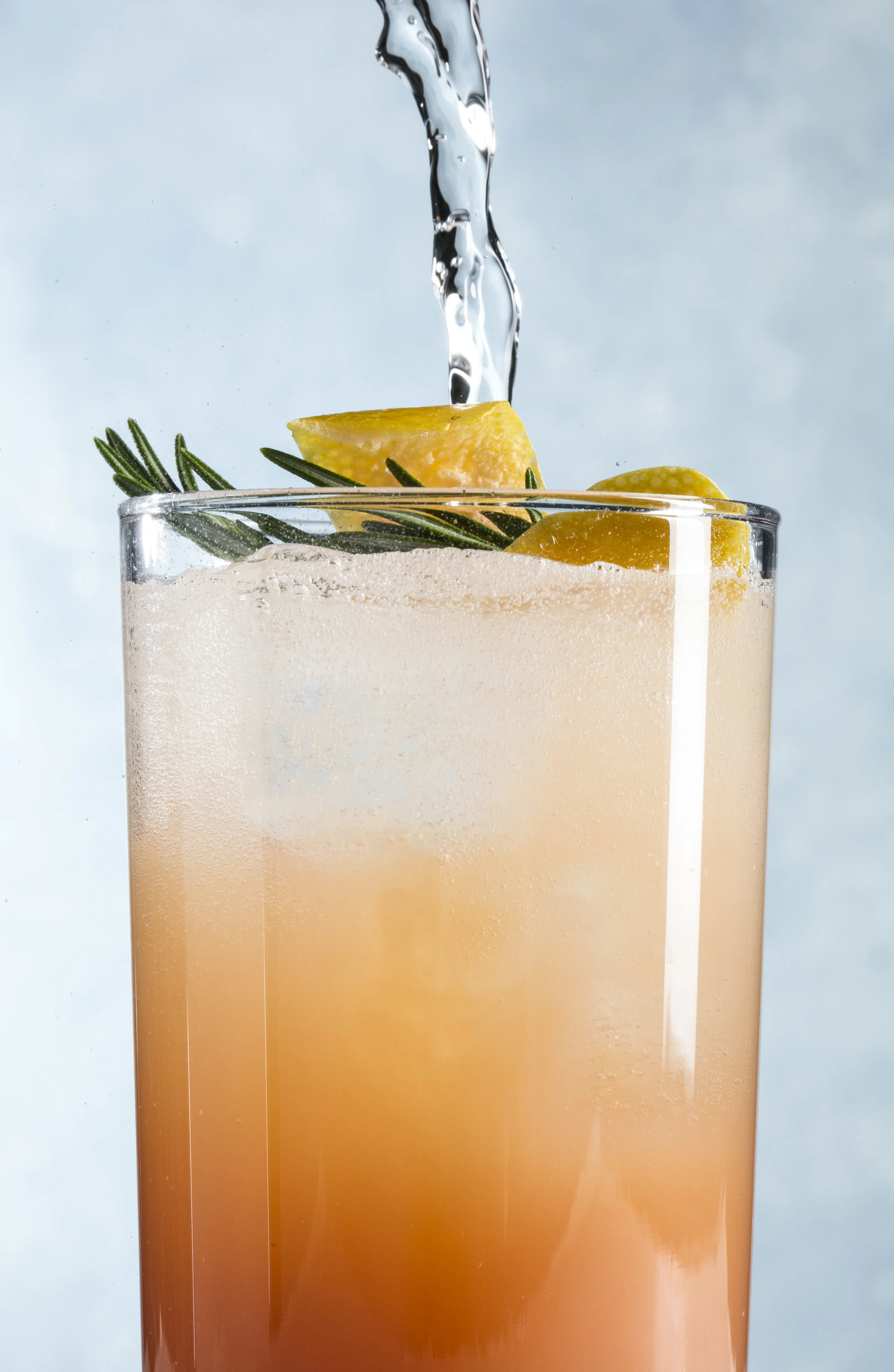 SFS_GrapefruitRosemarySpritzer-24.jpg