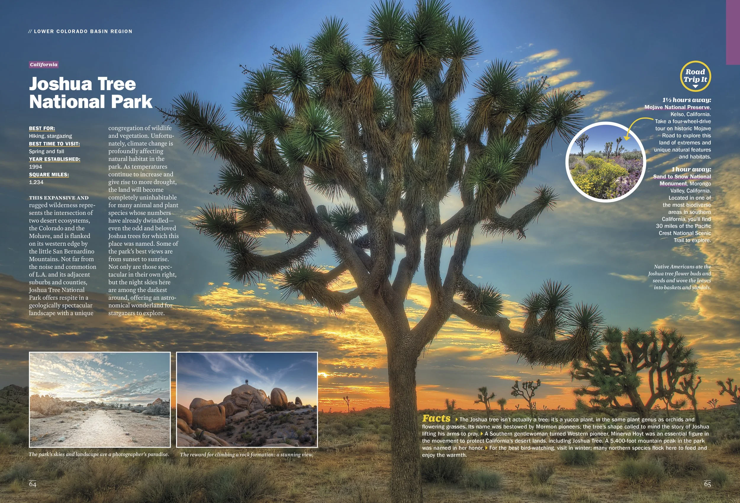 NationalParks_Interior_5.jpg