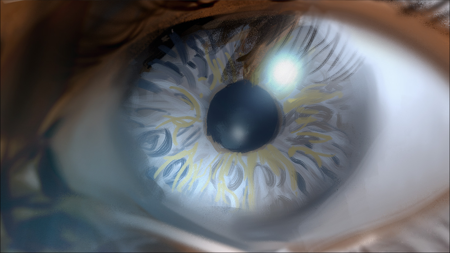 Patterns in Nature: Lessons for Cinematic Composition