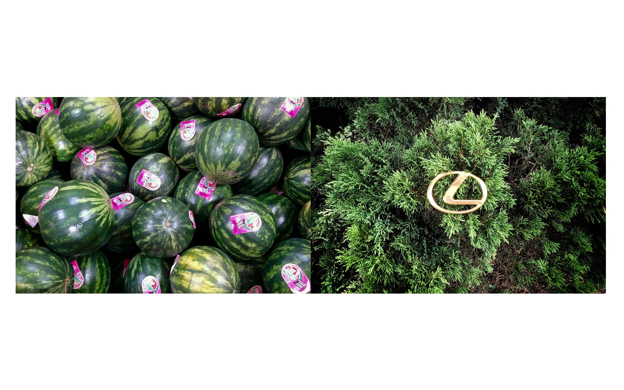 diptych2.jpg