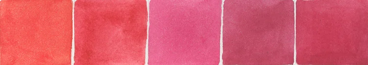 Watercolor pigments from left to right: Cadmium Red, Quinacridone Coral, Permanent Rose, Carmine, Permanent Alizarin Crimson