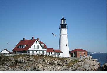 Lighthouse and seagull, two typical Maine photo and painting subjects.