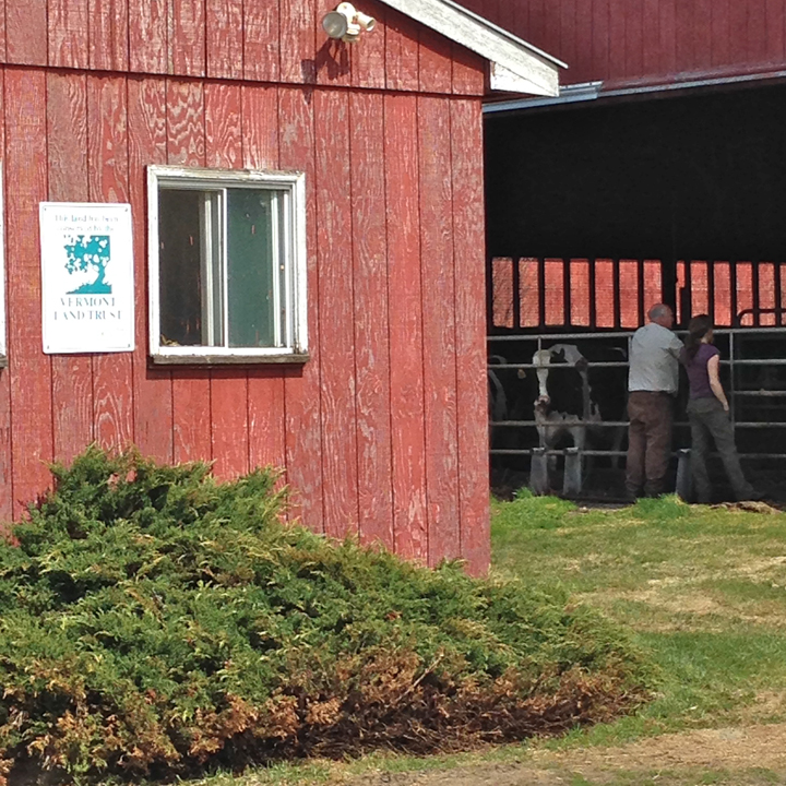 Sharon and Bruce at the dairy barn