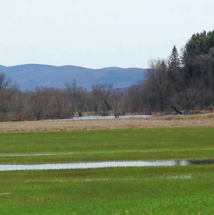 Wetlands and croplands on the Johnson farm