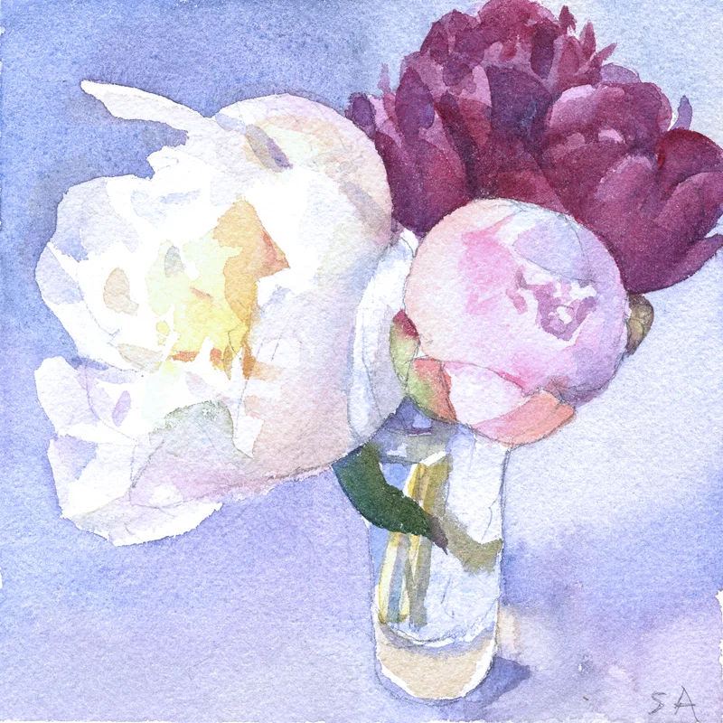 "Three Peonies", 6" x 6", watercolor on Arches paper
