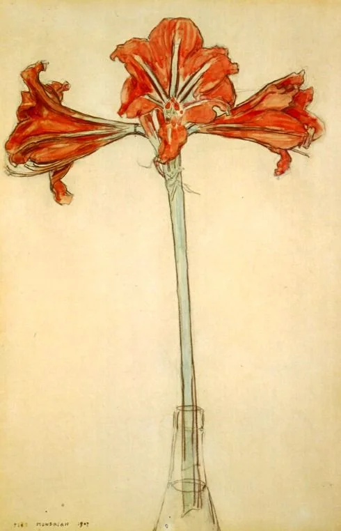 Piet Mondrian, “Amaryllis”