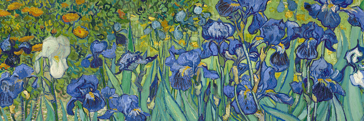 irises_header.jpg